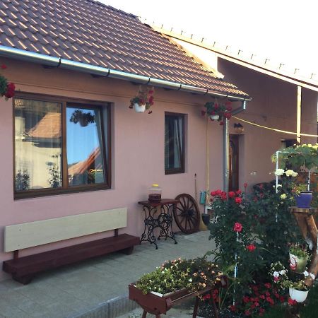 Casa rustica cu terasa Villa Mediaş Exterior foto