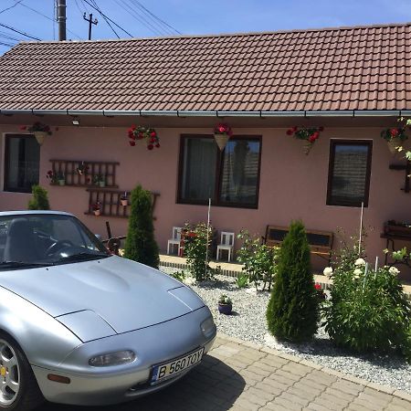 Casa rustica cu terasa Villa Mediaş Exterior foto