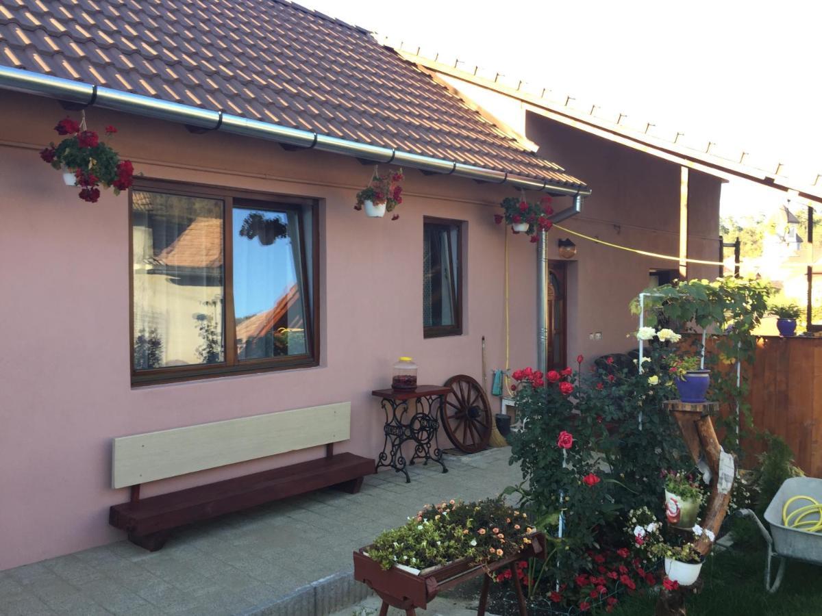 Casa rustica cu terasa Villa Mediaş Exterior foto