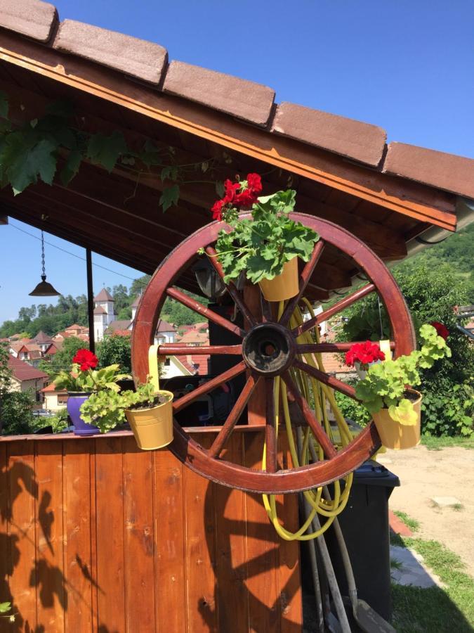 Casa rustica cu terasa Villa Mediaş Exterior foto