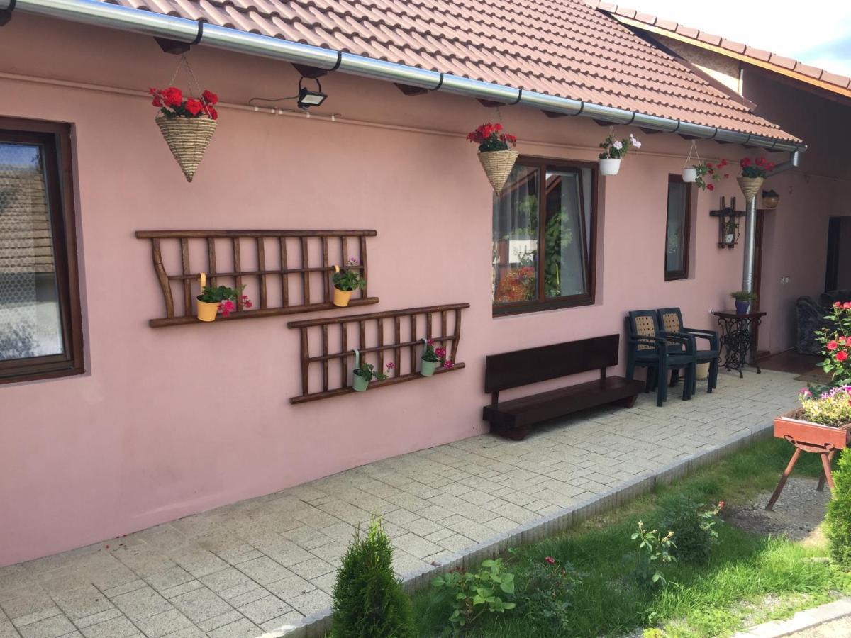 Casa rustica cu terasa Villa Mediaş Exterior foto