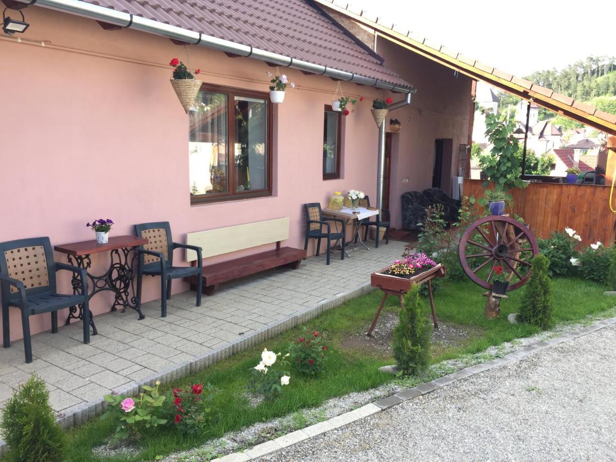 Casa rustica cu terasa Villa Mediaş Exterior foto
