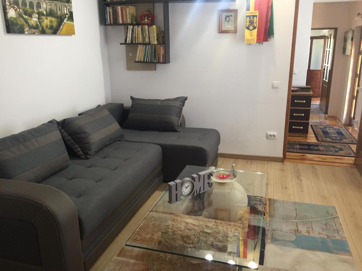 Casa rustica cu terasa Villa Mediaş Exterior foto