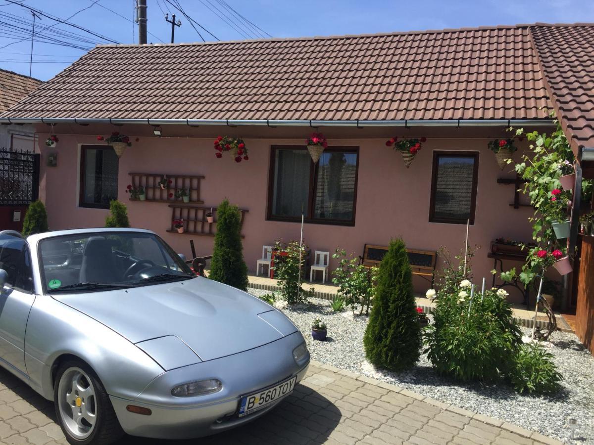 Casa rustica cu terasa Villa Mediaş Exterior foto