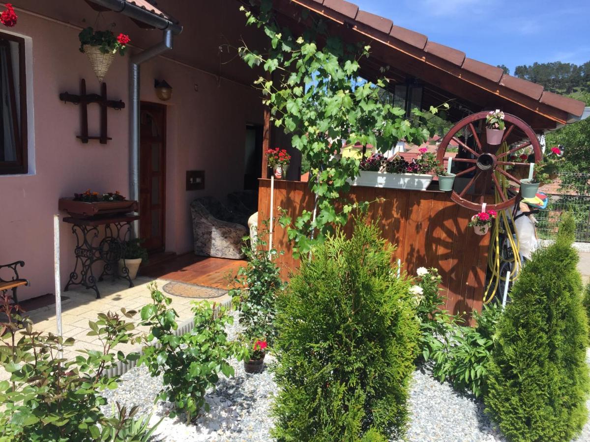 Casa rustica cu terasa Villa Mediaş Exterior foto