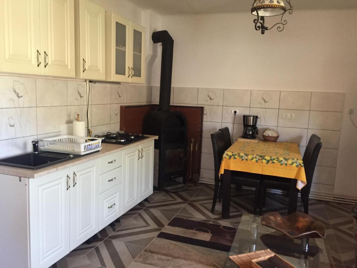 Casa rustica cu terasa Villa Mediaş Exterior foto