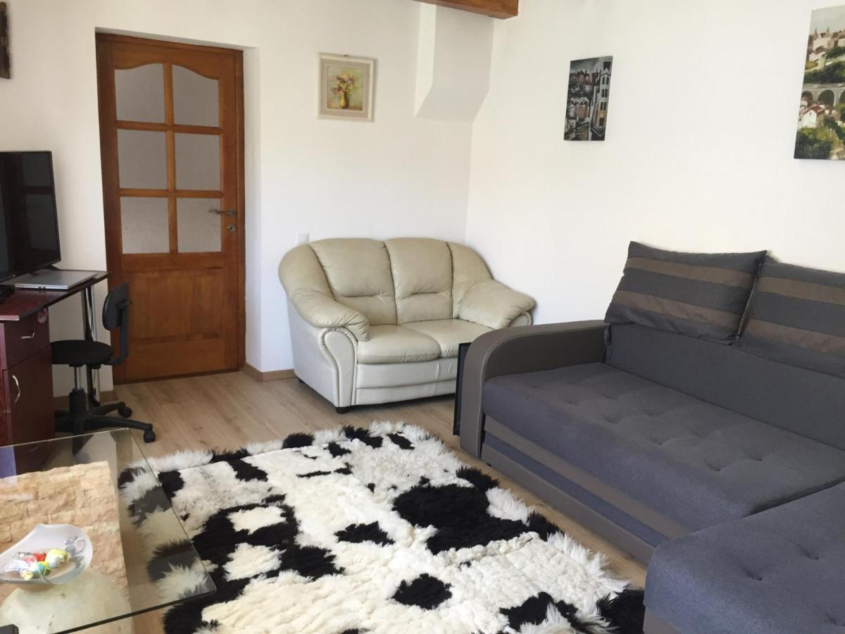 Casa rustica cu terasa Villa Mediaş Exterior foto